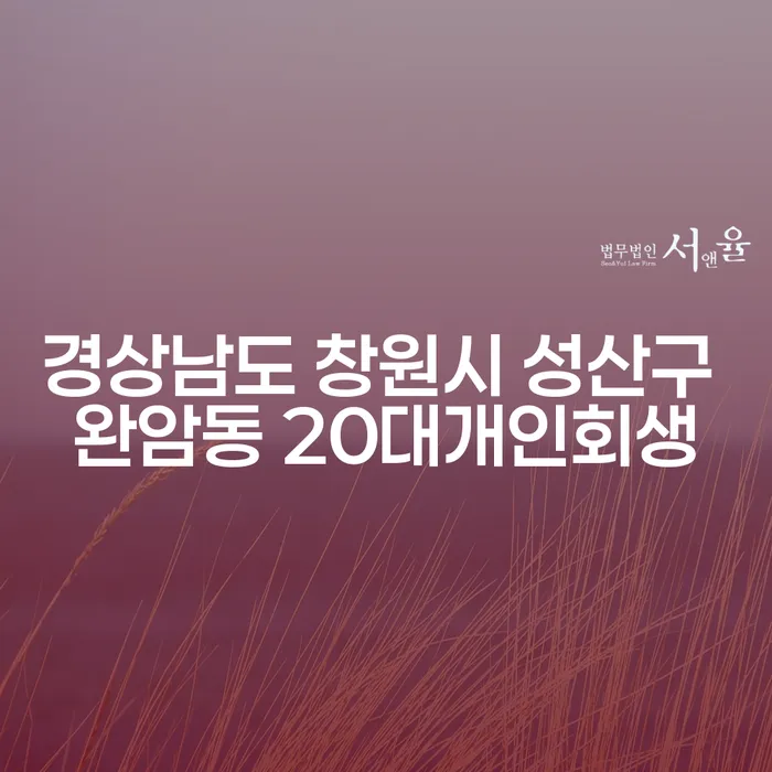경상남도 창원시 성산구 완암동 20대개인회생, 사채빚 해결의 길은?