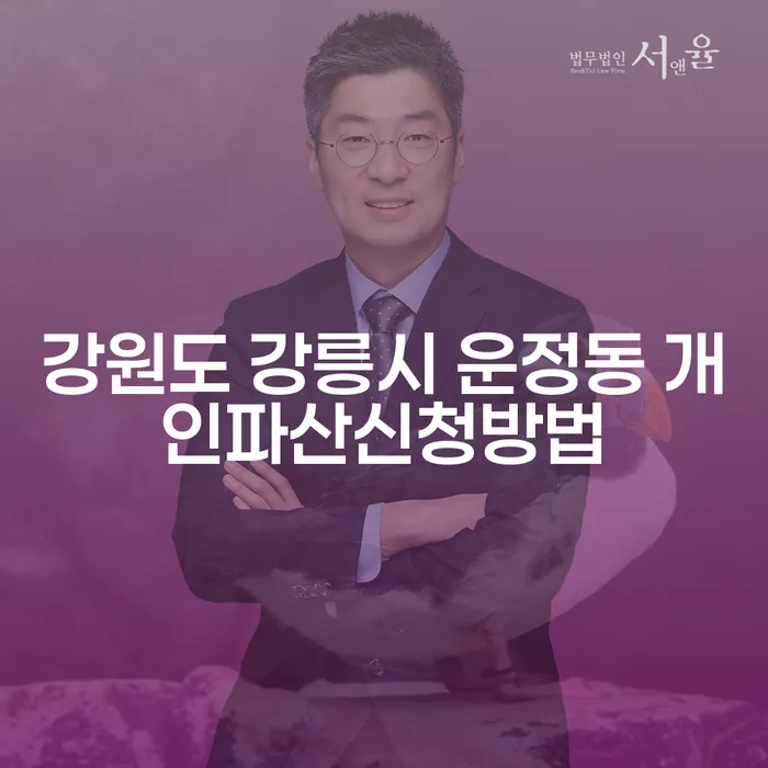 강원도 강릉시 운정동에서 개인파산을 신청하려면 어떻게 해야 할까요?