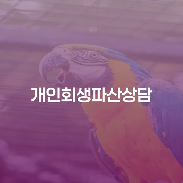 어떻게 개인회생파산상담이 당신의 삶을 변화시킬 수 있을까요?