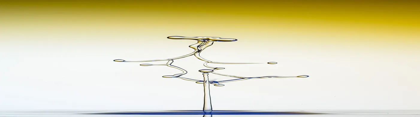 법무법인 서앤율